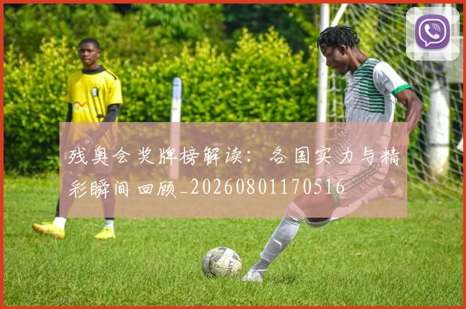 残奥会奖牌榜解读:各国实力与精彩瞬间回顾_20260801170516